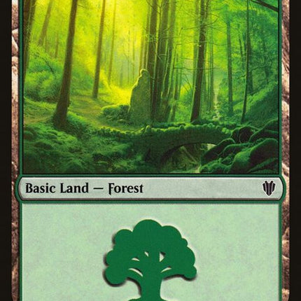 309-forest