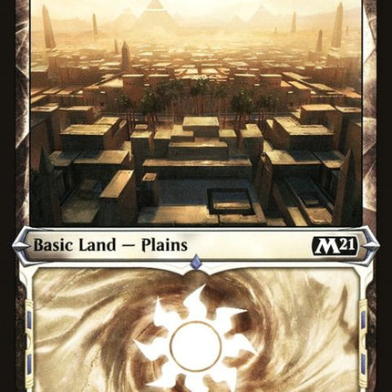 309-plains