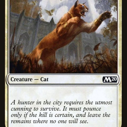 309-prowlingcaracal
