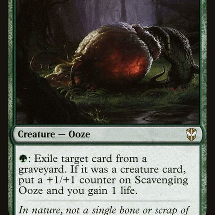 309-scavengingooze