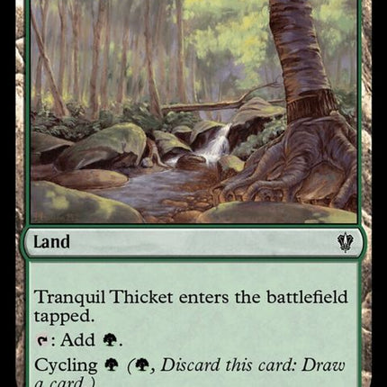 309-tranquilthicket