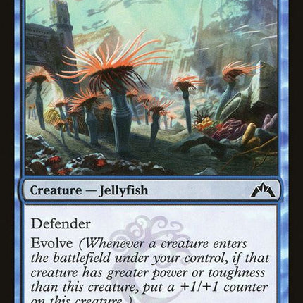 31-clinginganemones