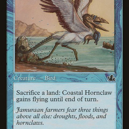 31-coastalhornclaw