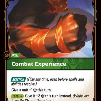 31-combatexperience
