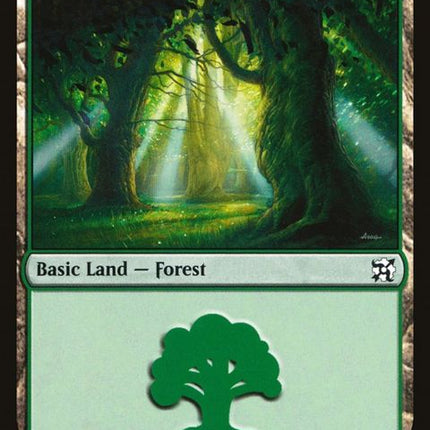 31-forest