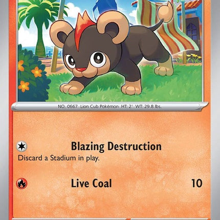31-litleo