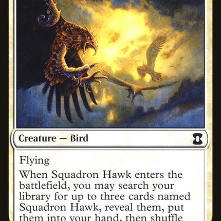 31-squadronhawk