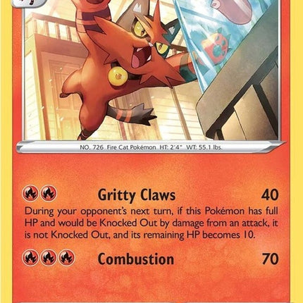 31-torracat
