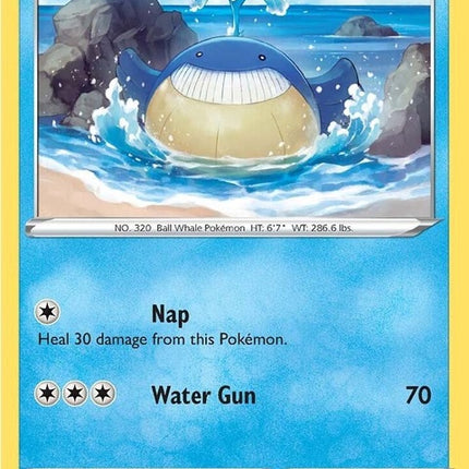 31-wailmer