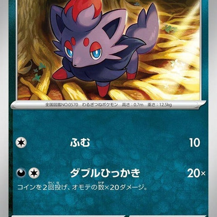 31-zorua