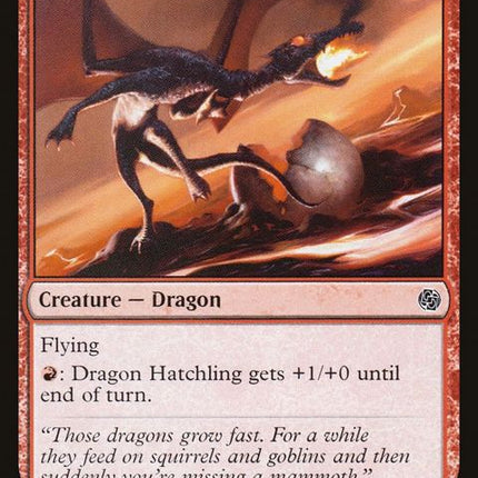 310-dragonhatchling