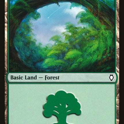 310-forest
