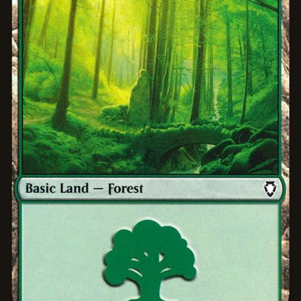 311-forest