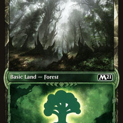 313-forest