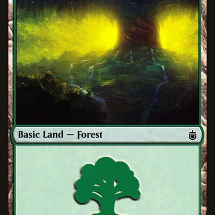 313-forest