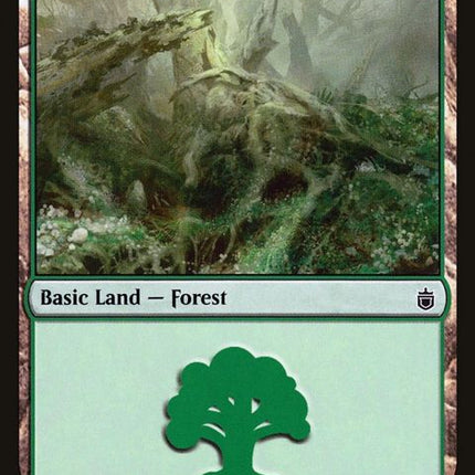 316-forest