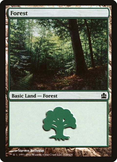 316-forest
