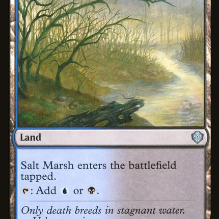 316-saltmarsh
