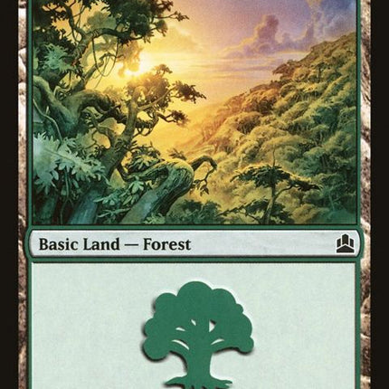 317-forest