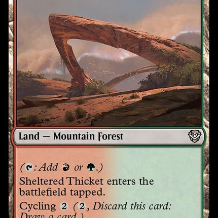 319-shelteredthicket