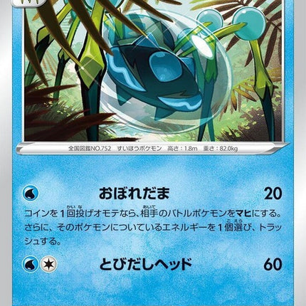 32-araquanid