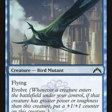 32-cloudfinraptor