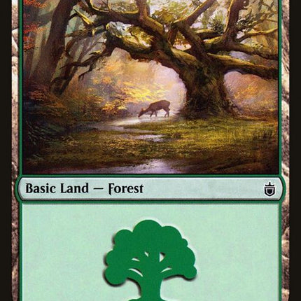 320-forest