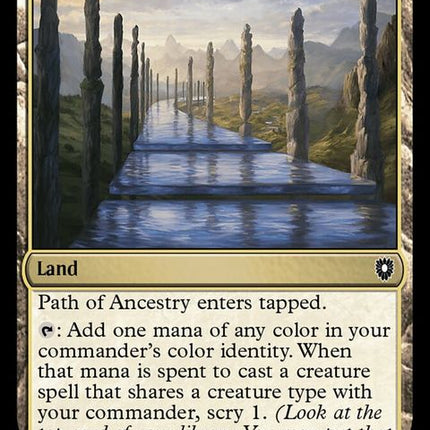 322-pathofancestry