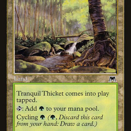 326-tranquilthicket