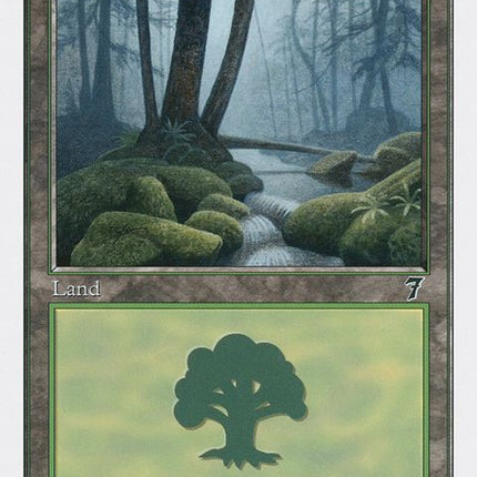 328-forest