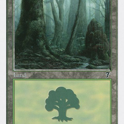 329-forest