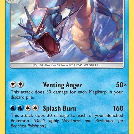 33-gyarados