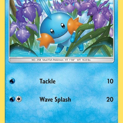 33-mudkip