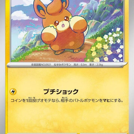 33-pawmi