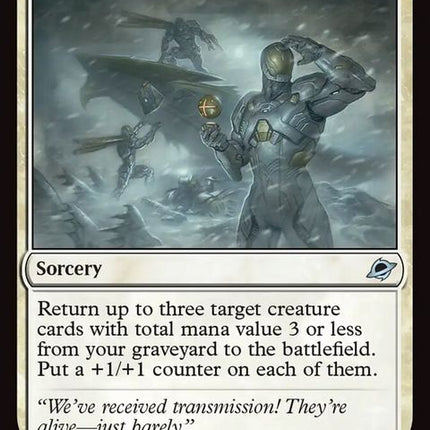 33-scoutforsurvivors