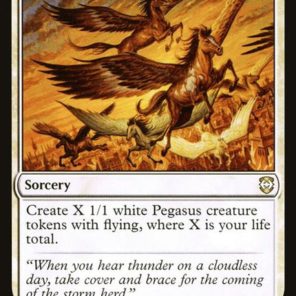 33-stormherd