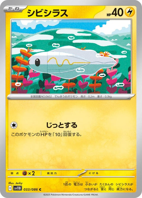 33-tynamo