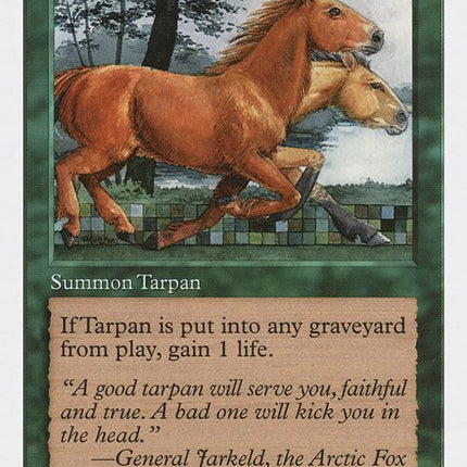 330-tarpan