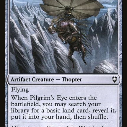 333-pilgrimseye