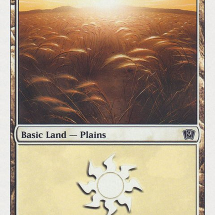 333-plains