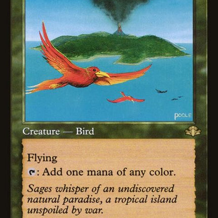 336-birdsofparadise