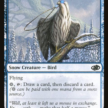 336-pilferinghawk