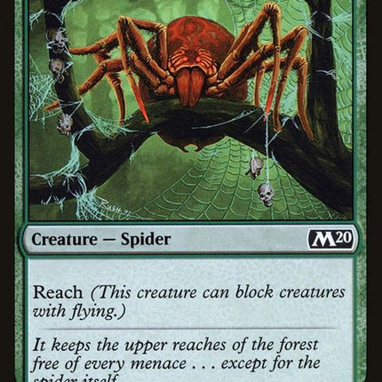 339-canopyspider