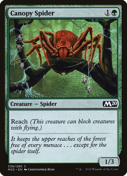 339-canopyspider