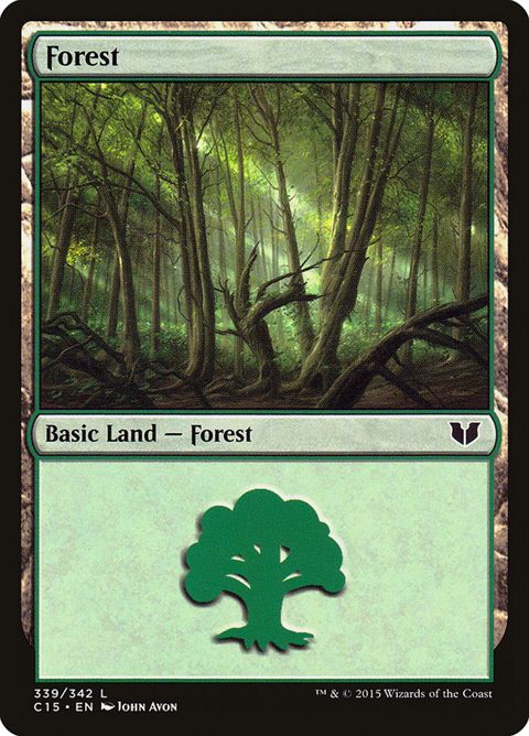 339-forest