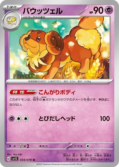 34-dachsbun