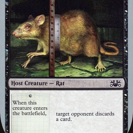 34-dirtyrat