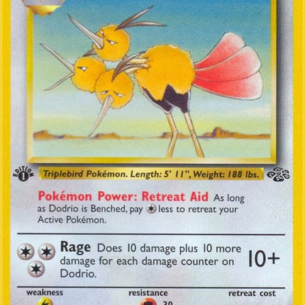 34-dodrio