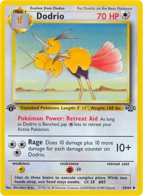 34-dodrio