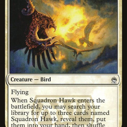 34-squadronhawk